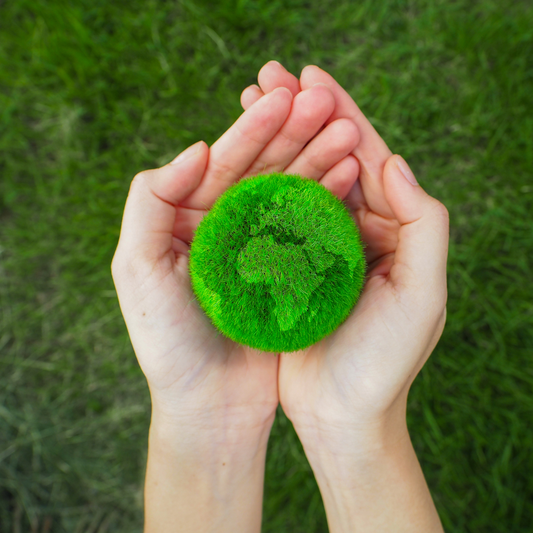 Embracing Earth Day: How Sustainable Brands Lead the Charge